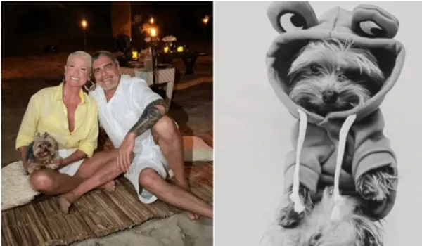 Junno Andrade sofre a dor da perda e desabafa em luto: ‘Meu molequinho, meu amor…’ 34 DLb8enh8yq1KrGUH84NlheUo71UV86zv8SAlbc6o