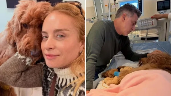 Confirmação de triste notícia deixa Angélica e Luciano Huck sem chão: ‘Nossa menina…’ 34